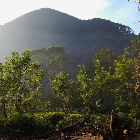 Bed and Breakfast Ceylon Rich Leaves Ella Esterno foto