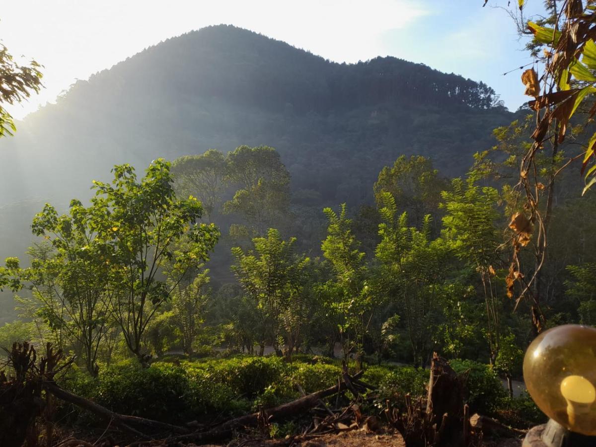 Bed and Breakfast Ceylon Rich Leaves Ella Esterno foto