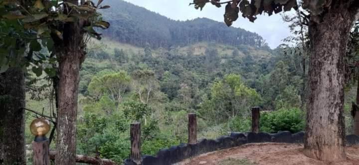 Bed and Breakfast Ceylon Rich Leaves Ella Esterno foto