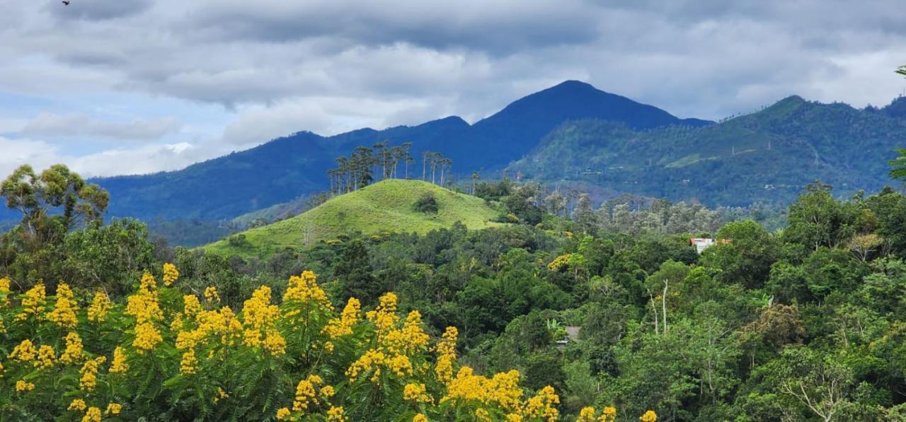 Bed and Breakfast Ceylon Rich Leaves Ella Esterno foto